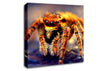 Spider Close-Up Canvas Wall Art