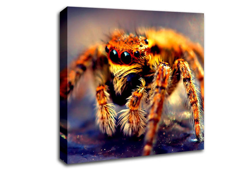 Spider Close-Up Canvas Wall Art