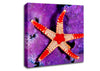 Starfish On Purple Canvas Wall Art