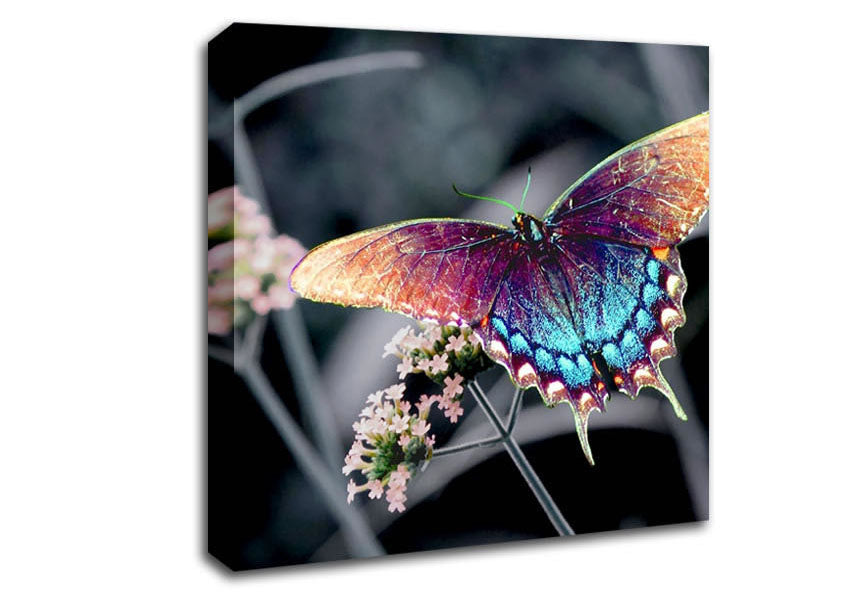 Stunning Butterfly Wings Canvas Wall Art