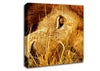 The Eye Of Lion Canvas Wall Art