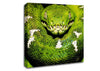The Serpent Canvas Wall Art