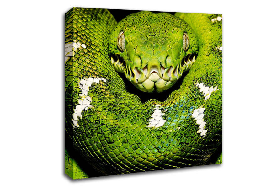 The Serpent Canvas Wall Art
