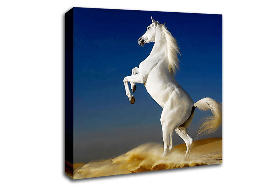 White Horse Stance Canvas Wall Art