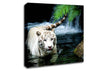 White Tiger Beautiful Canvas Wall Art