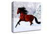 Wild Horse In The Snow Canvas Wall Art