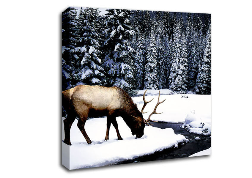 Winter Deer Canvas Wall Art