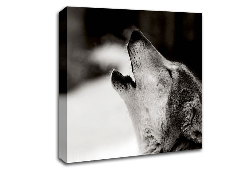 Wolf Howl Canvas Wall Art