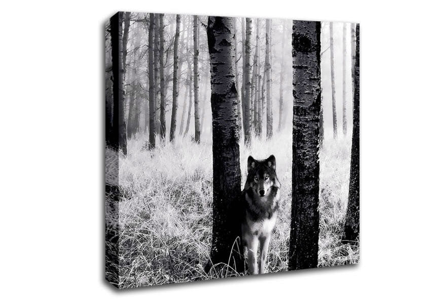 Wolf In The Forest Canvas Wall Art