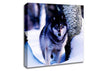 Wolf In The Snow Canvas Wall Art