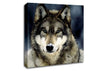 Wolf Snow Nose Canvas Wall Art