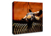 Zebra Family Love Canvas Wall Art