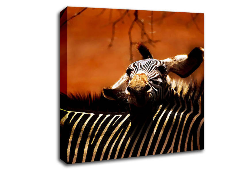 Zebra Family Love Canvas Wall Art