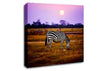 Zebra Sunset Canvas Wall Art