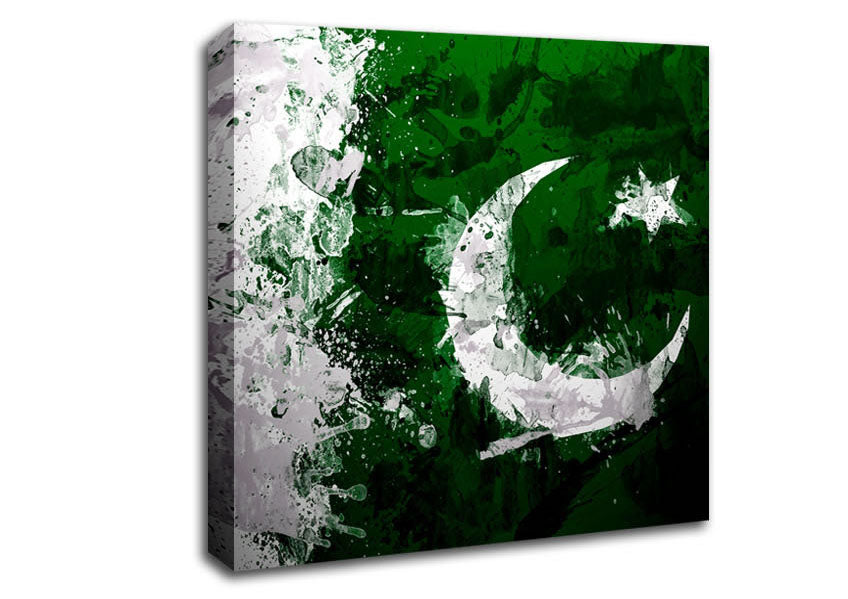 Pakistan Flag Grunge Canvas Wall Art