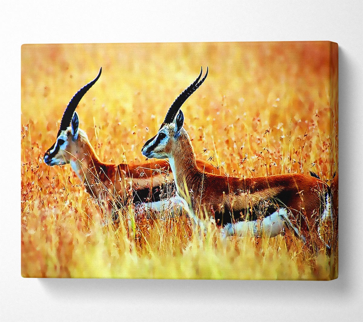 In The Wild Canvas Wall Art