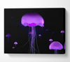 Jellyfish Lights Up The Ocean Canvas Wall Art