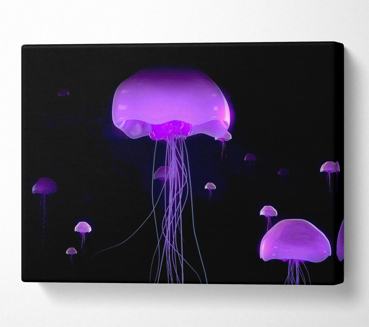 Jellyfish Lights Up The Ocean Canvas Wall Art