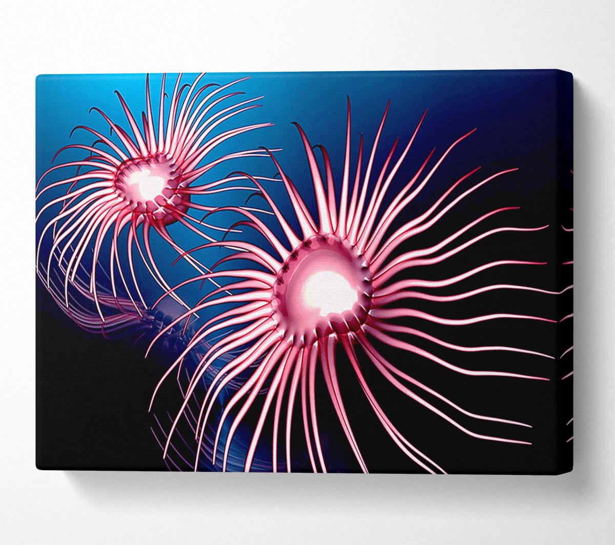 Jellyfish Swirl Canvas Wall Art