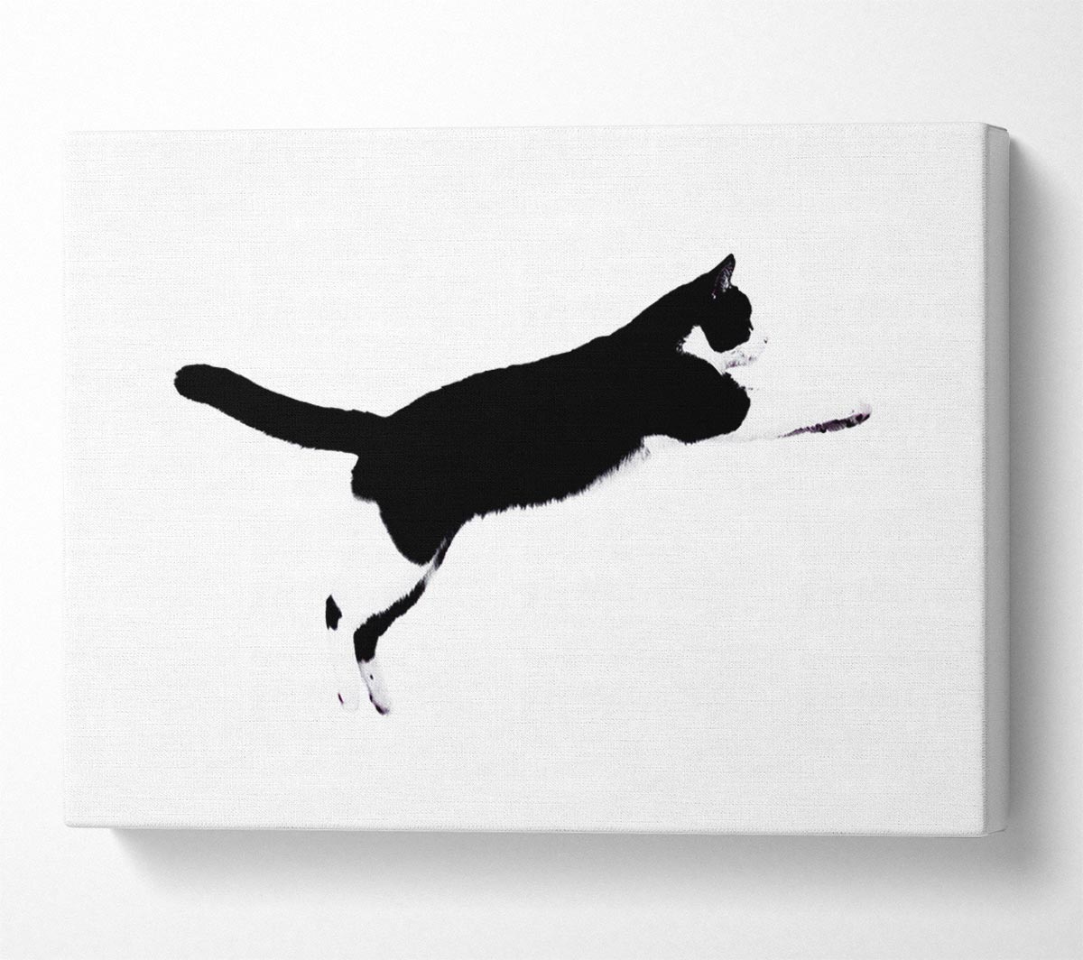 Jumping Cat Canvas Wall Art