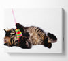 Kitten Play Canvas Wall Art