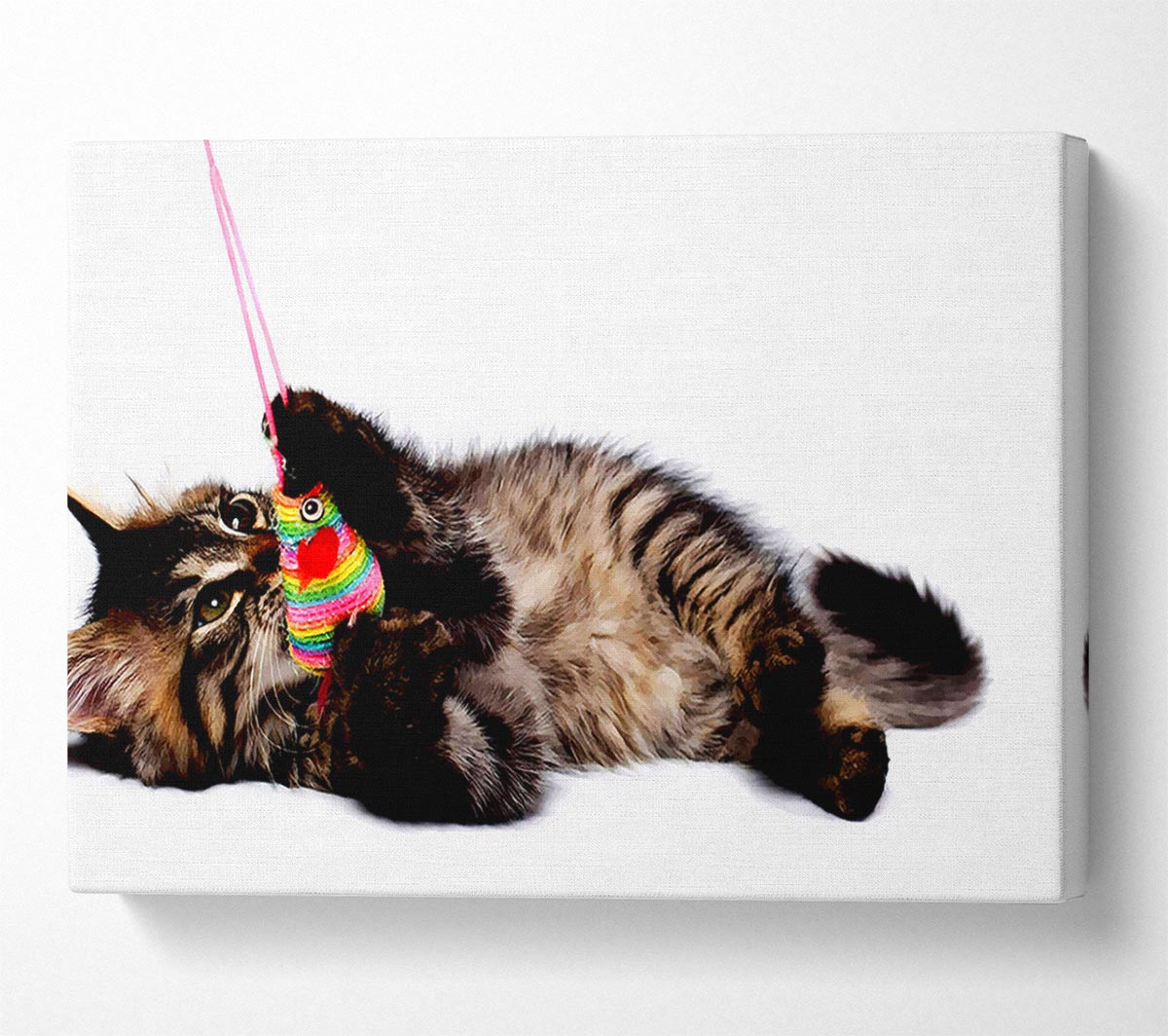 Kitten Play Canvas Wall Art