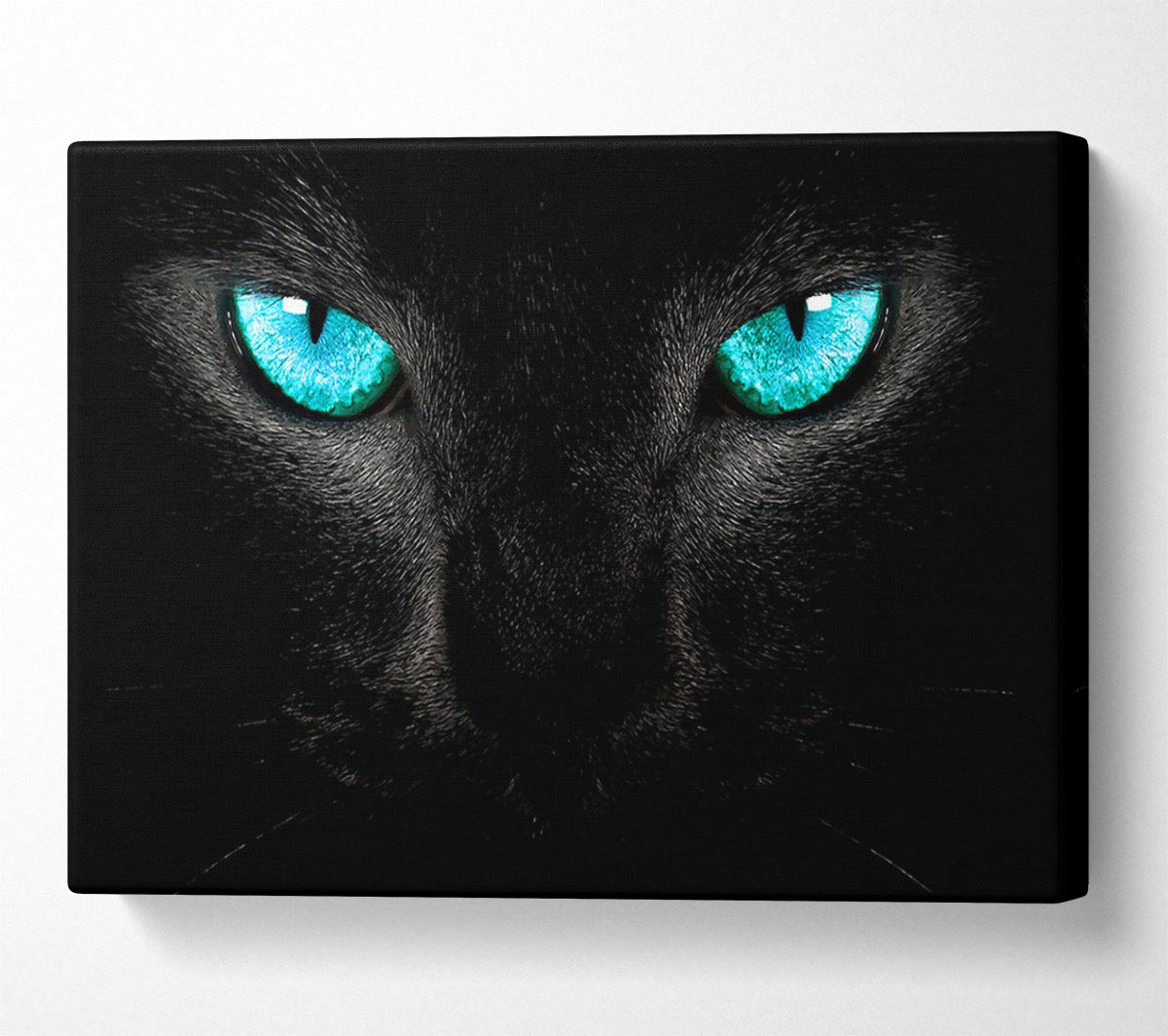 Blue Eyes Cat Canvas Wall Art