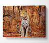 Leopard Hunt Canvas Wall Art
