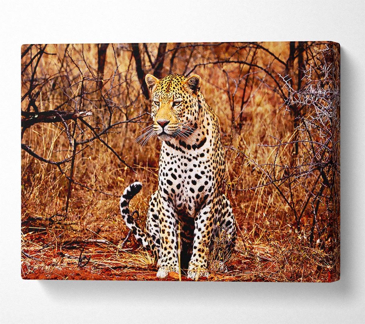 Leopard Hunt Canvas Wall Art