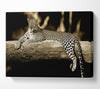 Leopard Lazy Days Canvas Wall Art