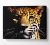 Leopard Pray Canvas Wall Art
