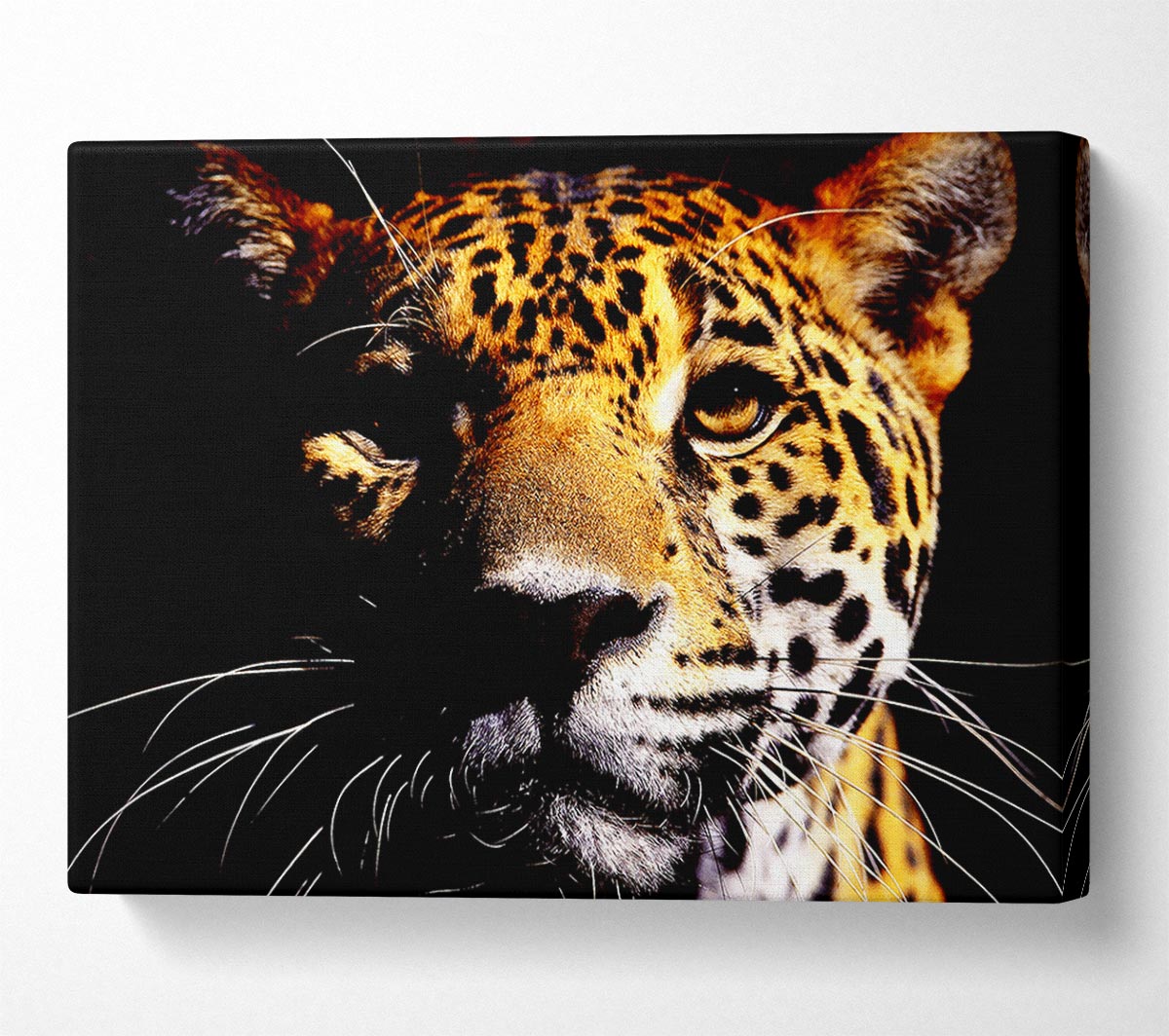 Leopard Pray Canvas Wall Art