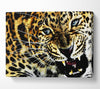 Leopard Roar Canvas Wall Art