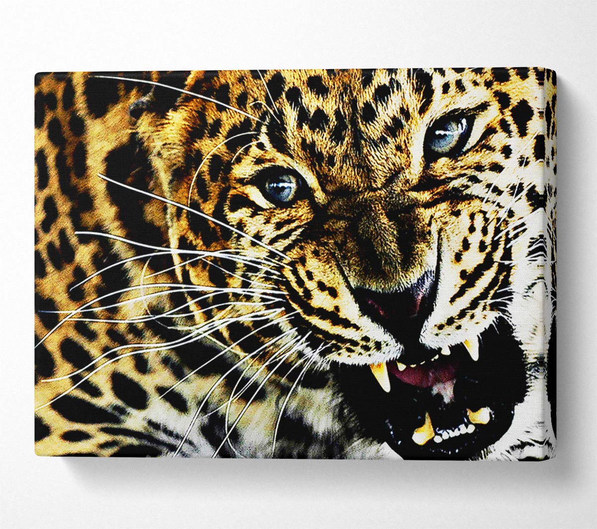 Leopard Roar Canvas Wall Art