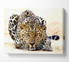 Leopard Staring Canvas Wall Art