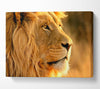 Lion Canvas Wall Art