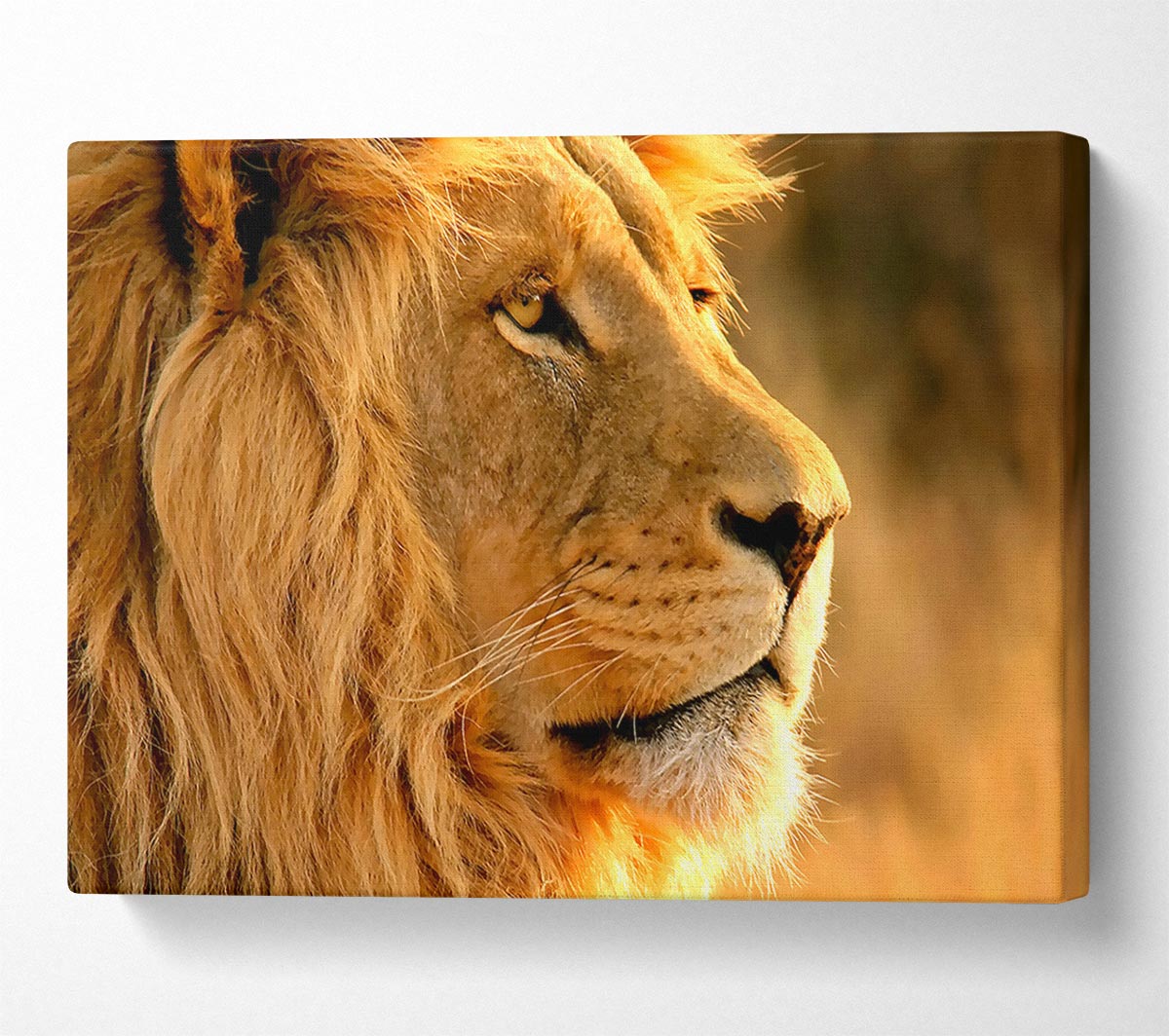Lion Canvas Wall Art