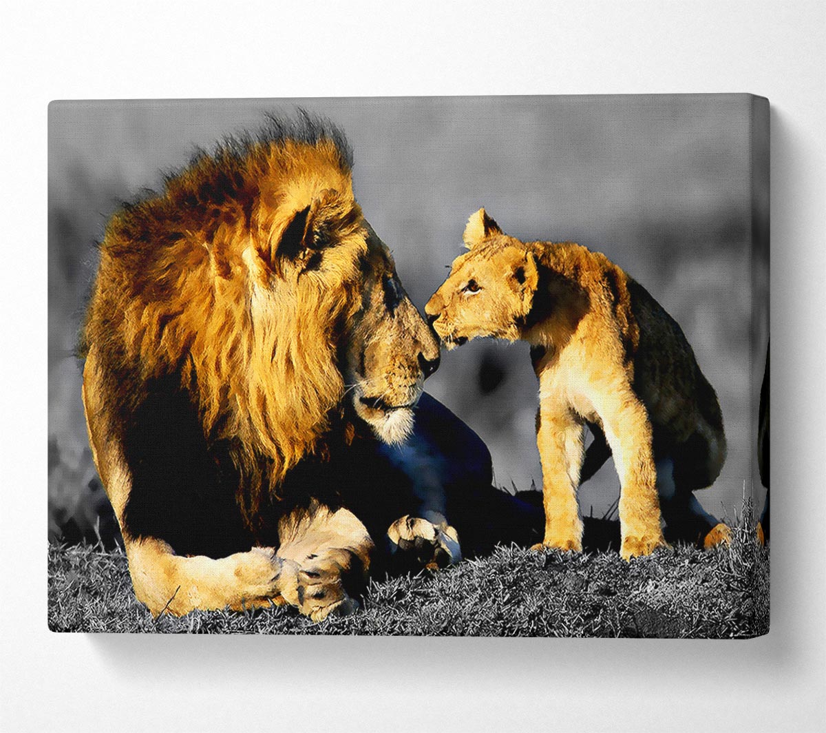 Lions Family Pride Canvas Wall Art