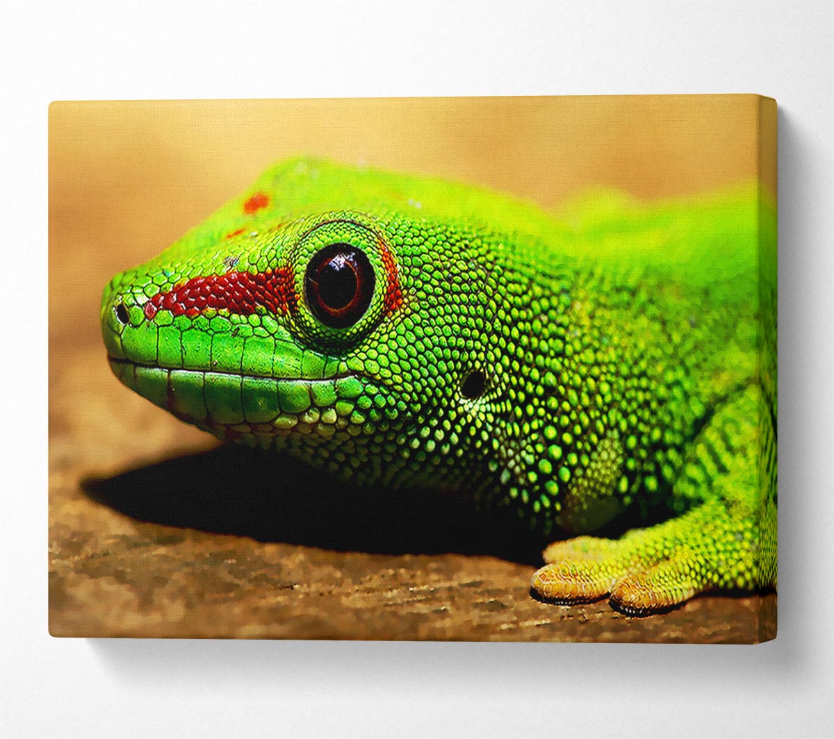 Lizard Face Canvas Wall Art