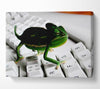 Lizard Keyboard Canvas Wall Art