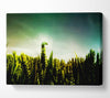 Lizard Perch Canvas Wall Art
