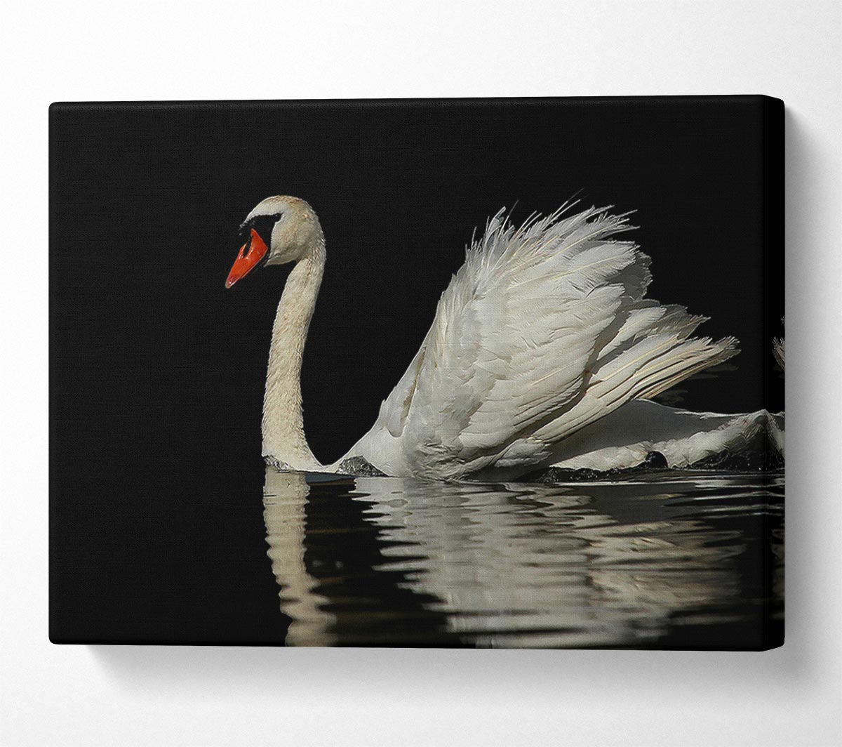 Lonely Cruiser Canvas Wall Art