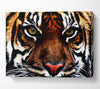 Male Tiger Face Canvas Wall Art
