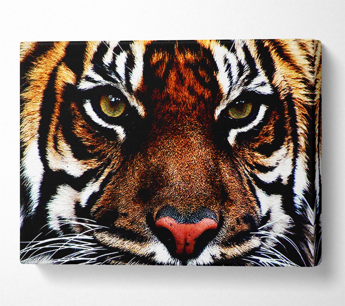 Male Tiger Face Canvas Wall Art