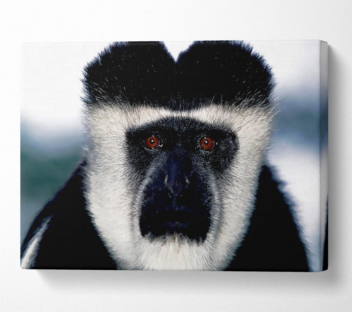Monkey Face Canvas Wall Art