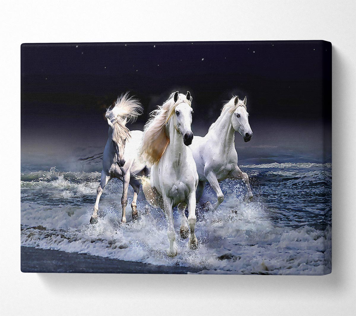 Mystic Horses Canvas Wall Art