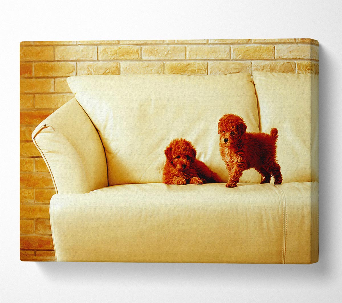 Naughty Puppy Fun Canvas Wall Art