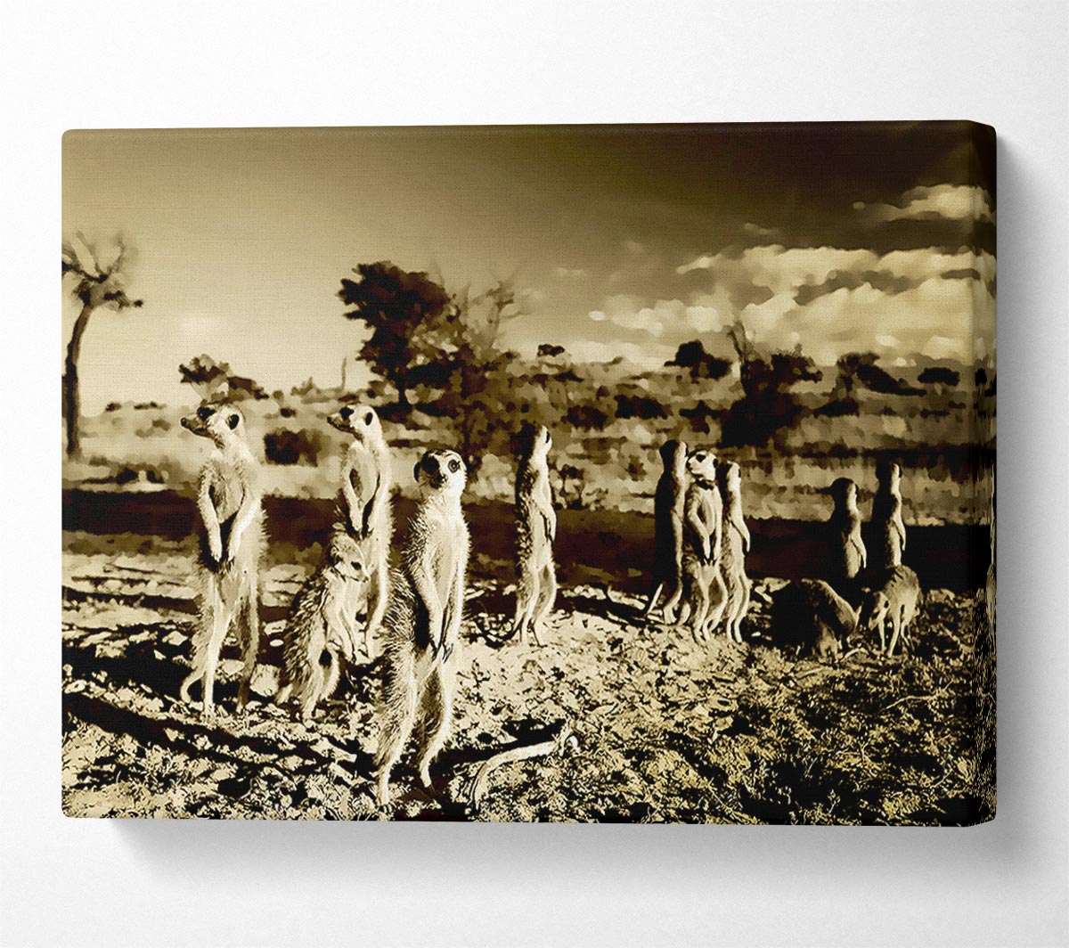 Noisy Meerkats Canvas Wall Art