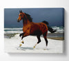 Ocean Horse Beauty Canvas Wall Art