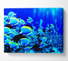 Oceans Glory Canvas Wall Art
